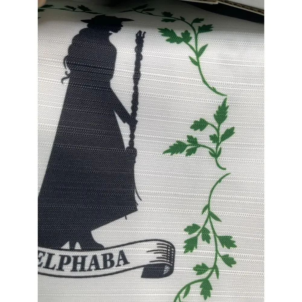 Wicked Shower Curtain 72x72 The Musical Elphaba Fabric Universal Bathroom New
